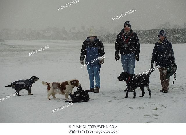Northern Scotland is hit by snow fall and below freezing temperatures as snow arrives as far south as Montrose Featuring: Montrose Golf course Where: Montrose