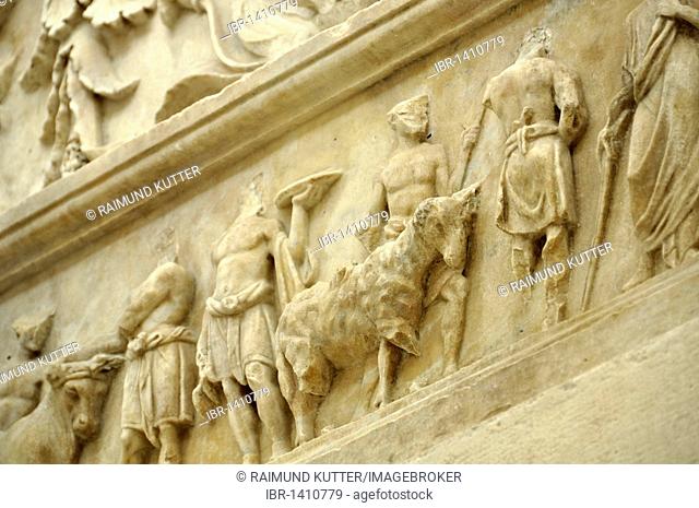 Relief frieze of a sacrificial procession, altar crown, Altar of Augustan Peace, Ara Pacis Augustae, Rome, Lazio, Italy, Europe