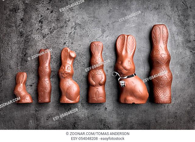 Variety of delicious chocolate Easter bunnies on rustic background