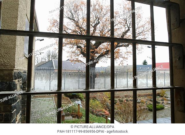 13 November 2018, Thuringia, Hohenleuben: A protected oak tree is located in the security area of the Hohenleuben correctional facility