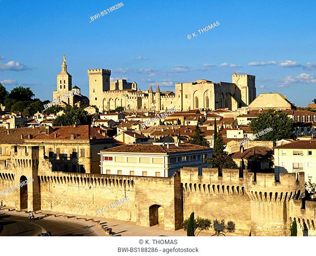 Palais des Papes in Avignon, France, Provence, Avignon