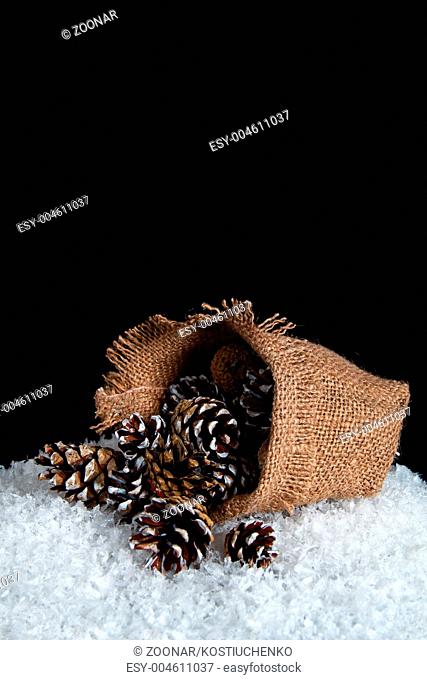 Image of the bag on the snow, spilled out of it with fir cones