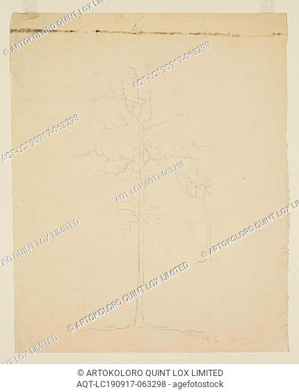 Thomas Cole, American, 1801-1848, Leafless Tree, 19th century, graphite pencil on off-white wove paper, Sheet: 9 7/8 × 7 7/8 inches (25.1 × 20 cm)