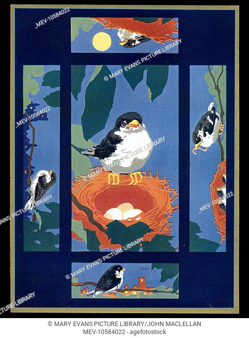 Chocolate box design, featuring a bird at various stages, with a nest of eggs, then bringing a worm for three hatched chicks