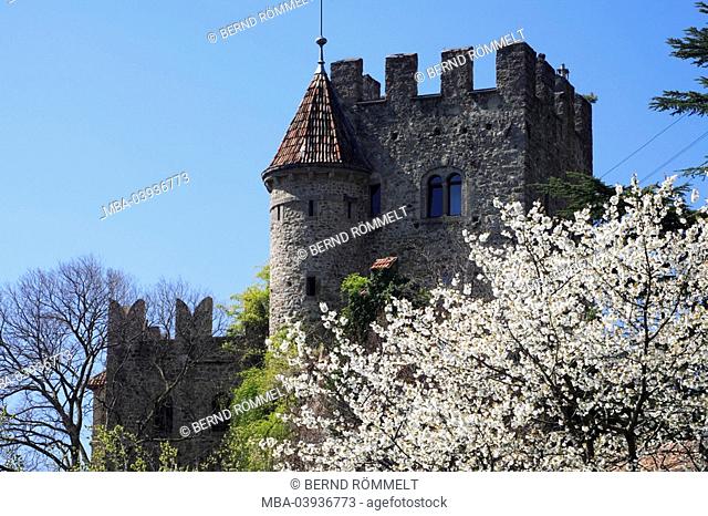 Italy, South-Tyrol, village Tyrol, palace, fruit trees, bloom, spring