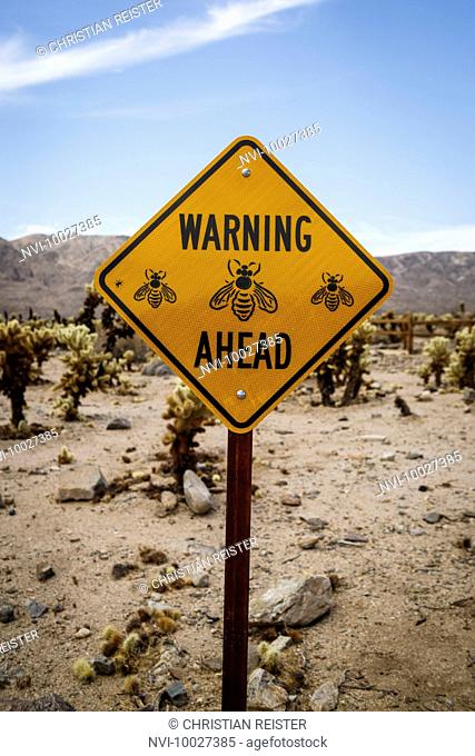 Warning sign, beware of bees, Cholla Cactus Garden in Joshua Tree National Park, Mojave Desert, California, USA