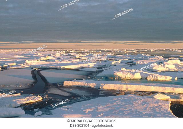 North Svalbard pack ice. Norway