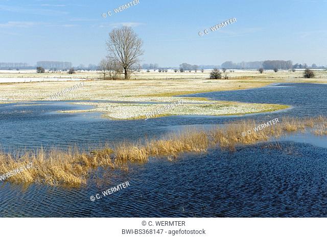flooded snowy field landscape of Lower Rhine region, Germany, North Rhine-Westphalia, Lower Rhine, Schenkenschanz