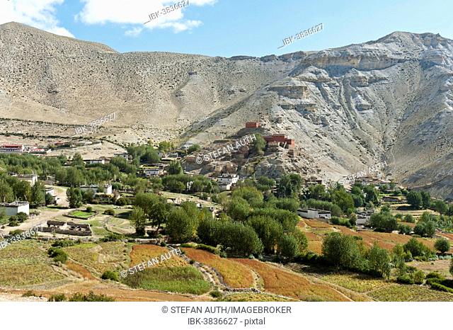 The village of Geling with the Tashi Choling Gompa, monastery, fields and trees at the front, Gieling, Upper Mustang, Lo, Nepal