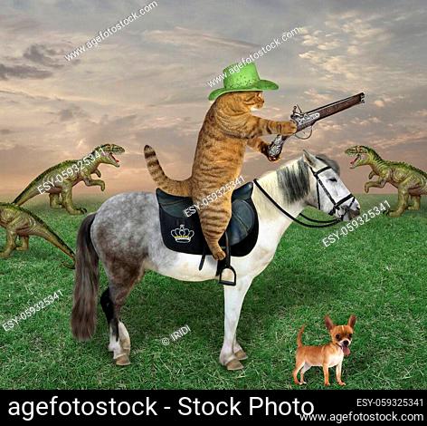 The beige cat in a cowboy hat with his dog grazes a herd of dinosaurs on the farm. He has an antique flintlock pistol