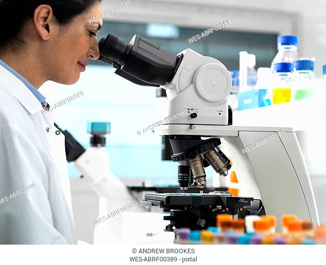 Lab technician viewing sample slides containing blood and human tissue for medical analysis in the laboratory