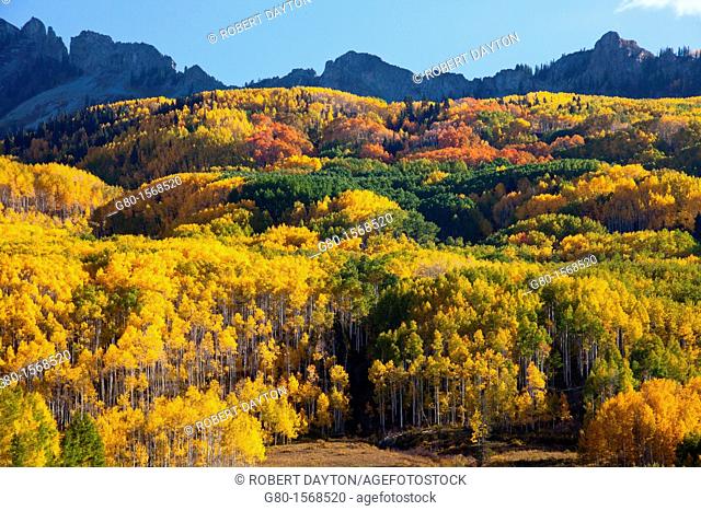 Fall, Kebler Pass, Colorado