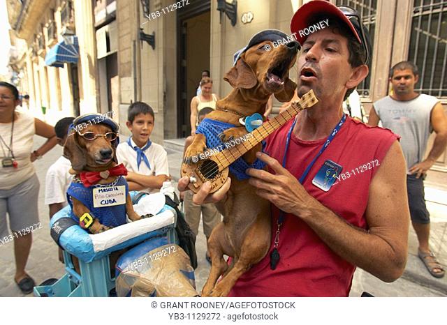 Singing Dog, Street Entertainment, Old Havana, Cuba