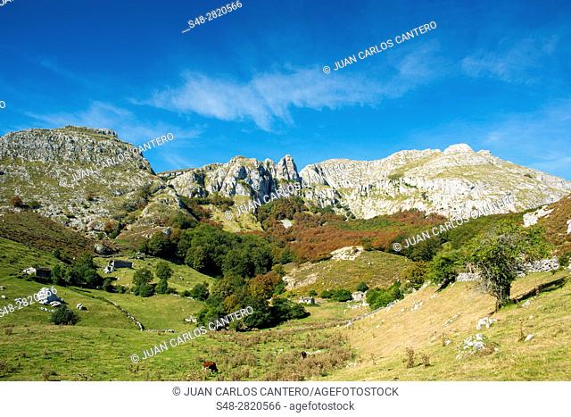 Parque natural Collados del Ason. Cantabria. España. Europa