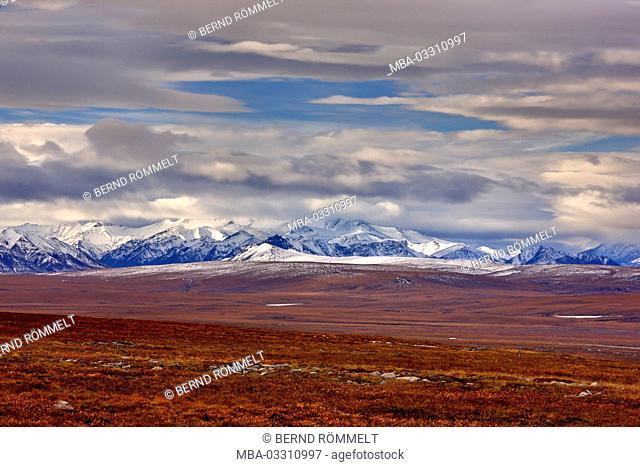North America, the USA, Alaska, North Slope, arctic tundra, Brooks Range