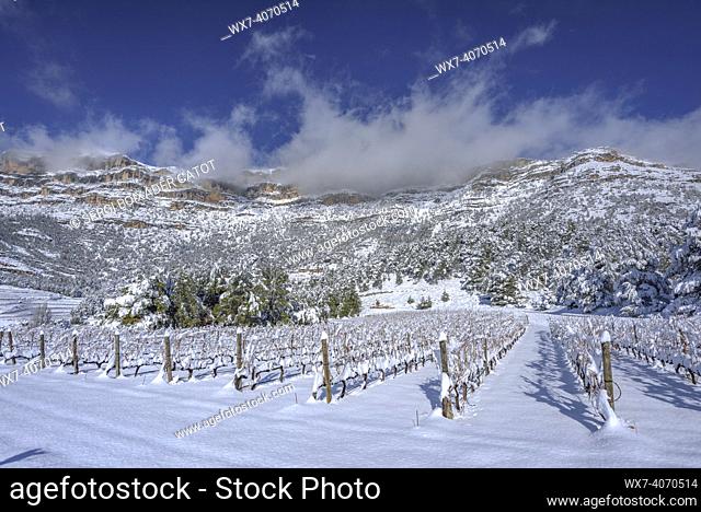 Snow-covered vineyards under the Montsant mountain range, near La Morera de Montsant village (Priorat, Tarragona, Catalonia, Spain)