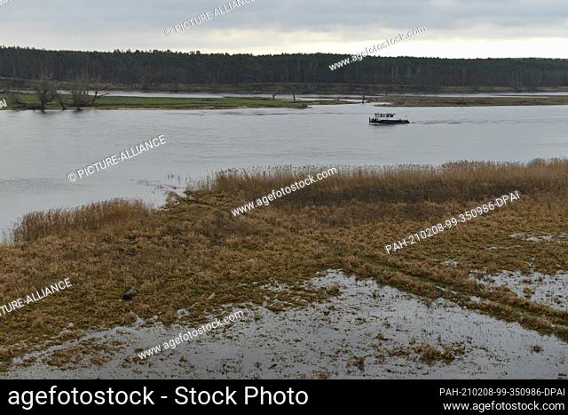 14 January 2021, Brandenburg, Criewen: The Lower Oder Valley National Park offers exciting flora and fauna all year round on its flooded floodplain meadows on...