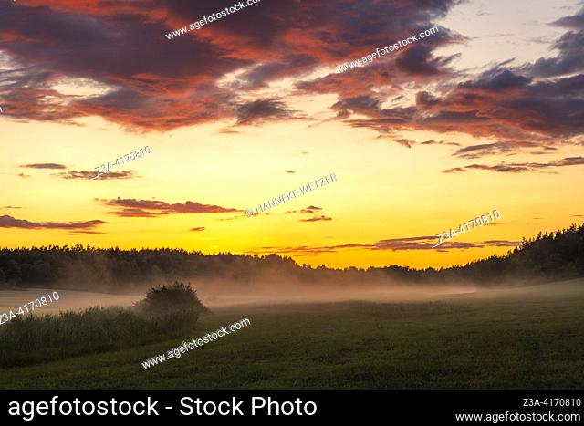 Meadow in the mist during sunset, Sweden