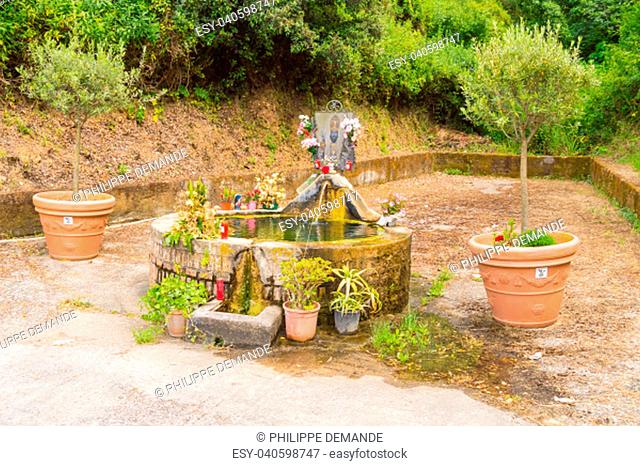 Fountain between two olive trees turn into sanctuary for a knows in the campagna of the north of Sicily