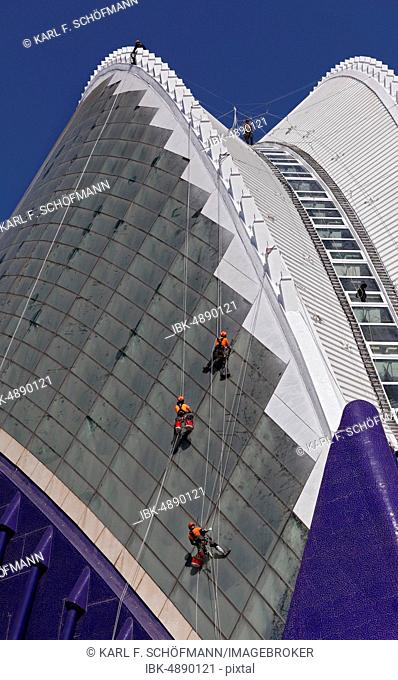 High climbers renovate the facade of the Agora, multifunctional hall, architect Santiago Calatrava, CAC, Ciutat des Arts i les Ciències, Valencia, Spain