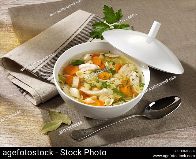 Chicken soup with vegetables and shell pasta