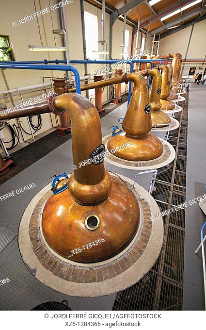 Stills, Glenfiddich Distillery, Dufftown, Moray, Scotland, United Kingdom, Europe