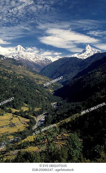 Sanctuary Trek. Elevated view over the Modi Khola Valley with river running through forest and agricultural terracing seen from north of Chandrakot with the...