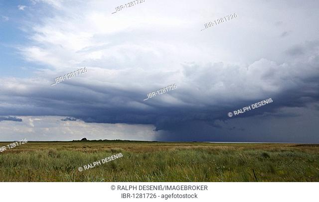 Bad weather clouds, stormy atmosphere over a salt marsh, Mellum Island, Lower Saxony Wadden Sea National Park, Unesco World Heritage Site, Lower Saxony, Germany