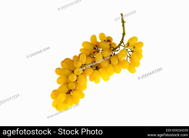 fresh, amber yellow grapes isolated on white background