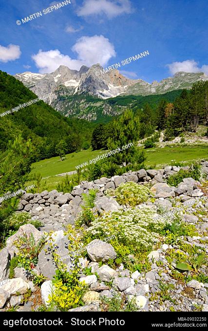 Kukaj Valley, Valbona National Park, Albanian Alps, Prokletije, Qar Kukes, Albania