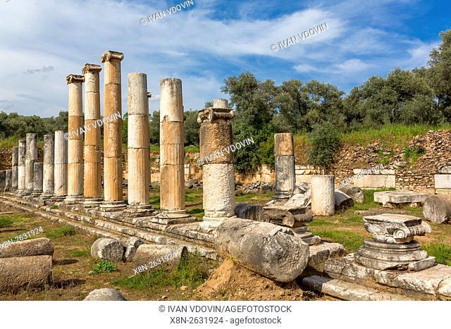 Ruins of ancient Nysa on the Maeander, Aydin Province, Turkey