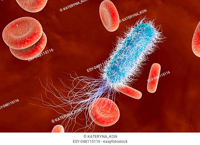 Bacterium Pseudomonas aeruginosa in blood, antibiotic-resistant nosocomial bacterium, 3D illustration. Illustration shows polar location of flagella and...
