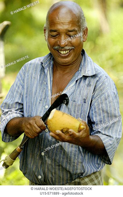 Smiling indian man opening a coconut with a large slasher (knife). Backwaters, Kerala, India 2005