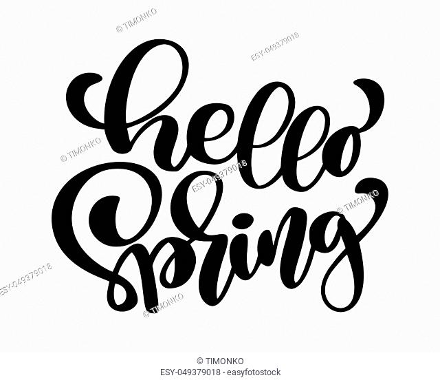 Hello Spring. Hand drawn calligraphy and brush pen lettering. design for holiday greeting card and invitation of seasonal spring holiday