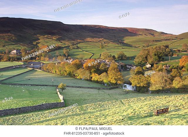 View of pasture with sheep, trees, village and river flowing through valley bottom, River Wharfe, Burnsall, Wharfedale, Yorkshire Dales N P , North Yorkshire