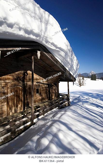 Koenigsalm (Alpine pasture) in wintertime, Bavaria, Germany, Europe