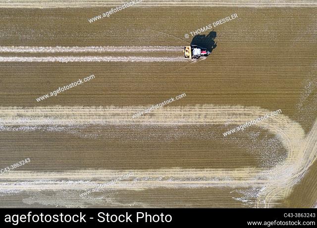Tractor sowing rice seeds in a flooded rice field in May. Aerial view. Drone shot. Ebro Delta Nature Reserve, Tarragona province, Catalonia, Spain