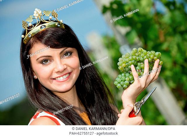 Franconian Wine Queen Kristin Langmann poses for pictures in Ipsheim, Germany, 12 September 2015. Photo: Daniel Karmann/dpa | usage worldwide