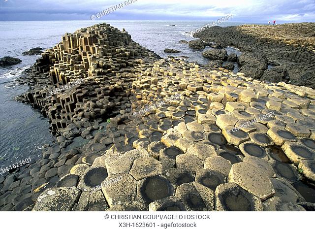 The Giant's Causeway, County Antrim, Northern Ireland, United Kingdom, Western Europe