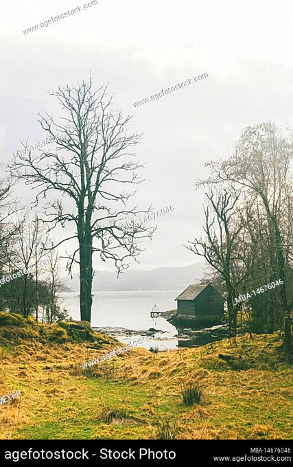 Lonely fishing cottage on the fjord in Norway, typical fjord landscape with small islands, seclusion and tranquility from the outside world, house on the lake