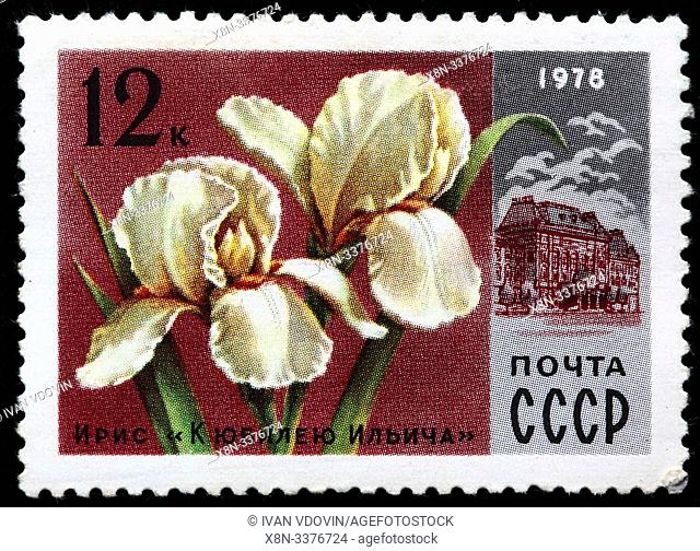 Iris ""For jubileum of Ilyich"", postage stamp, Russia, USSR, 1978
