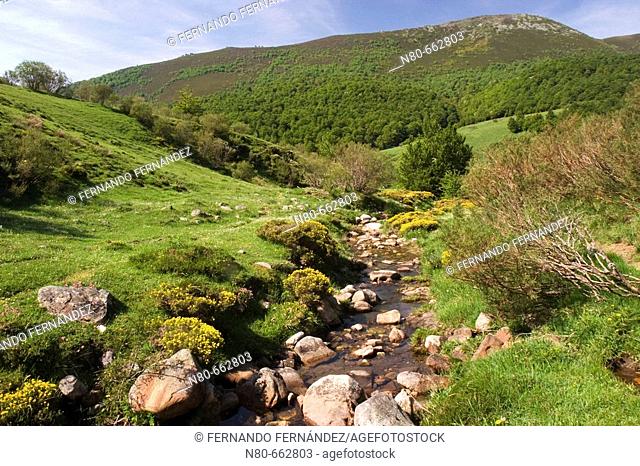 Creek. Ventaniella valley, La Uña, Leon province, Castilla y Leon. Spain