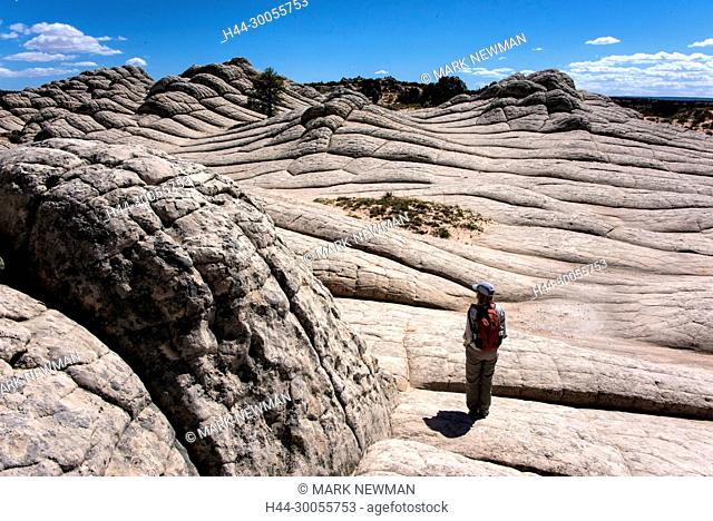 white pocket wilderness, vermillion cliffs national monument, arizona