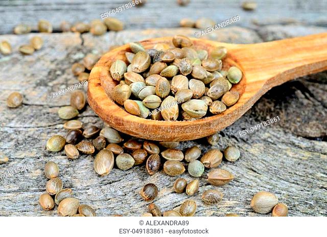hemp seed in spoon on wooden table