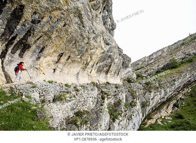 Rocky folds in the geological itinerary The Forces of the Earth. World Geopark Las Loras. UNESCO Global Geopark. Locality of Rebolledo de la Torre