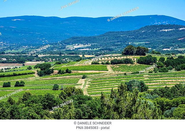 France, Vaucluse, Mt Ventoux that overlooks the winegrowing plains around Roussillon