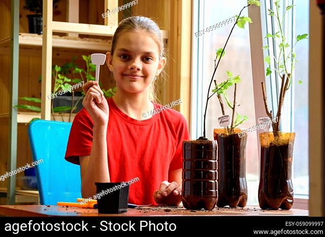 A girl is engaged in planting seedlings of berry bushes in pots of plastic bottles, holds a pointer with the name of the plant in her hands and happily looks...
