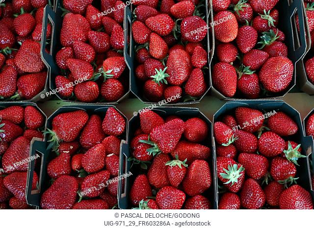 Strawberries for sale in a street market. France