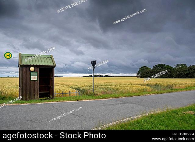 Bus stop, Kreis Nordfriesland, Schleswig-Holstein, Germany, Europe