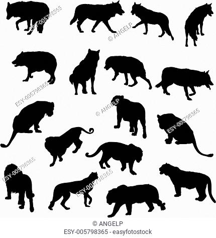 Set of wolves, tigers, leopareds and lions silhouettes